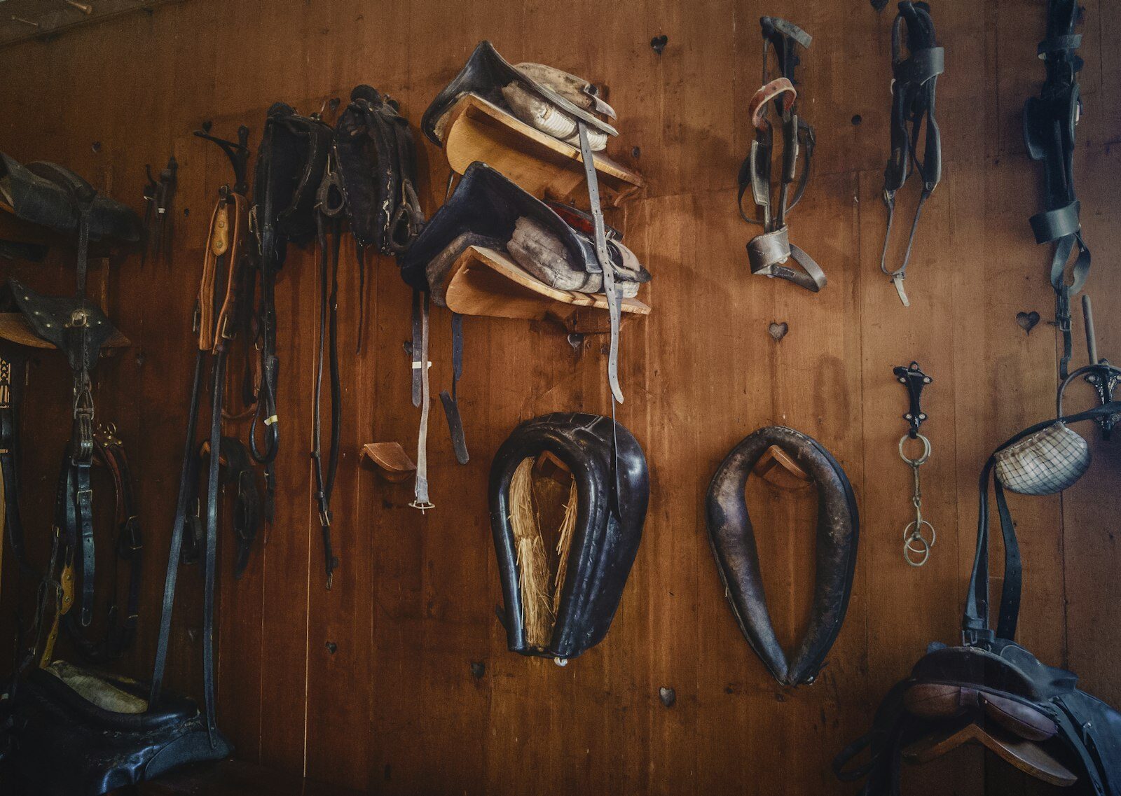 Wall of leather tack and equipment