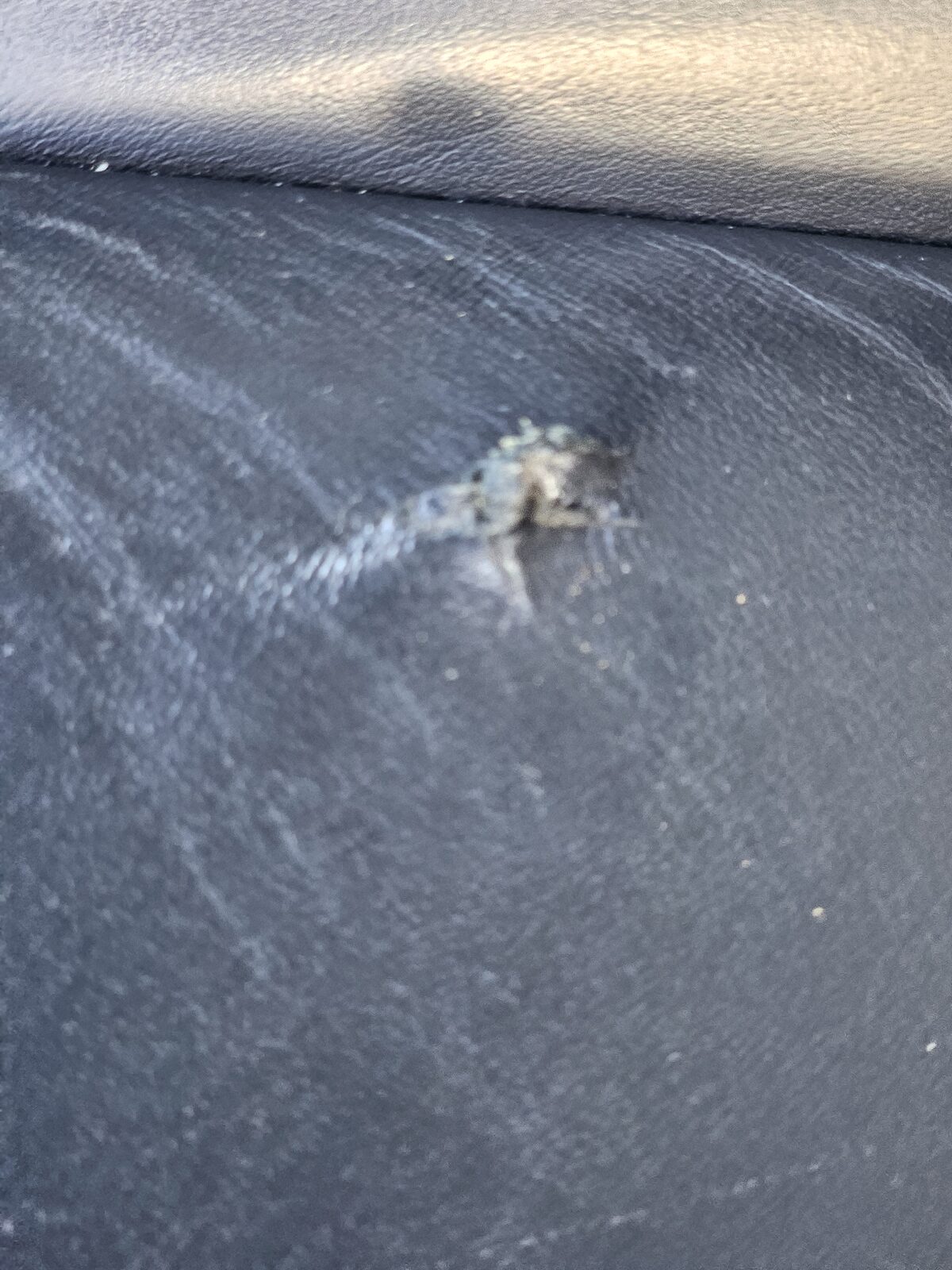 Close-up of leather surface detail
